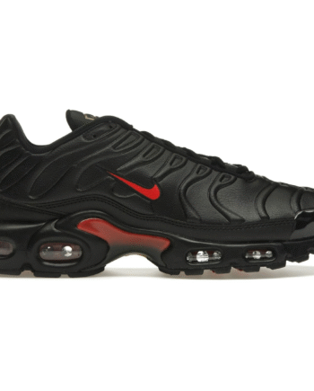 Nike Air Max Plus Bred - Nike 337688506