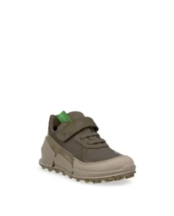 SAGE/TARMAC Ecco Biom Sneaker Gtx 711262 61045 - Ecco 337688506  - 194891633840