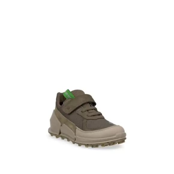 SAGE/TARMAC Ecco Biom Sneaker Gtx 711262 61045 - Ecco 337688506 - 194891633840